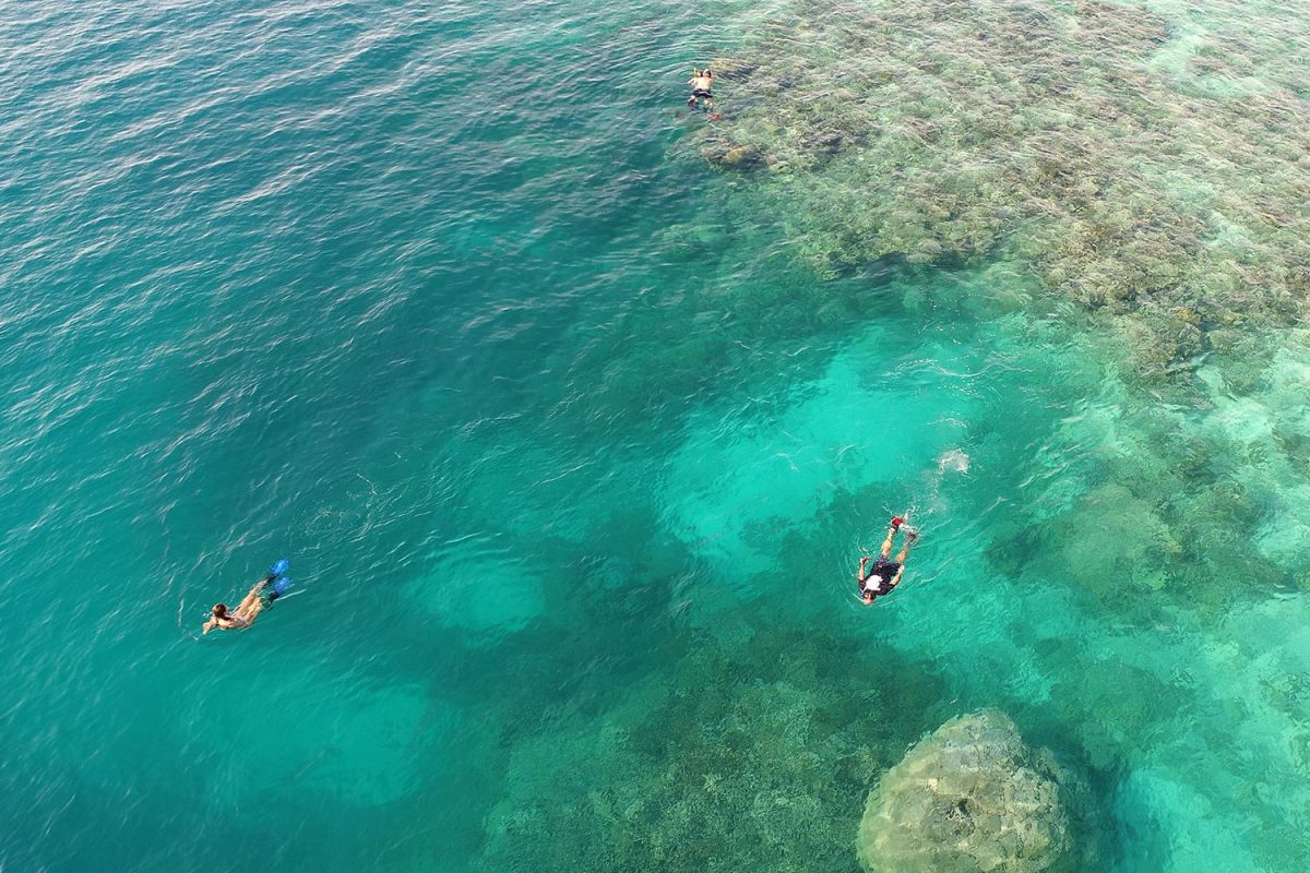 Impulsive Guests Snorkelling The Great Barrier Reef
